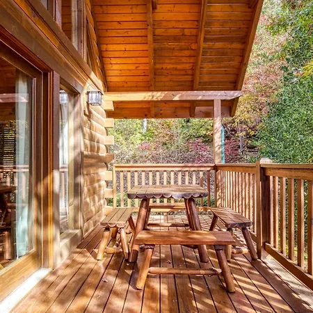 Enchanted View Lodge Cabin-2